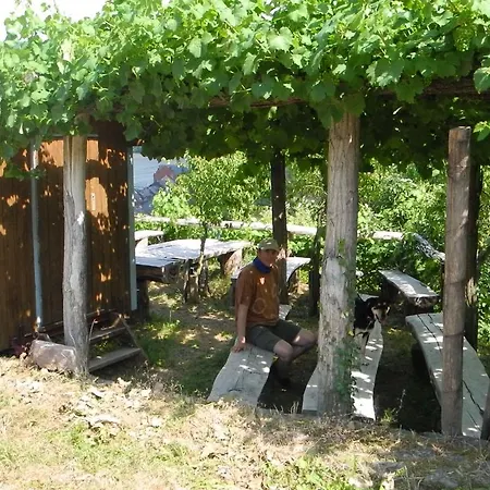 Altes Winzerhaus Ferienhaus Morbach