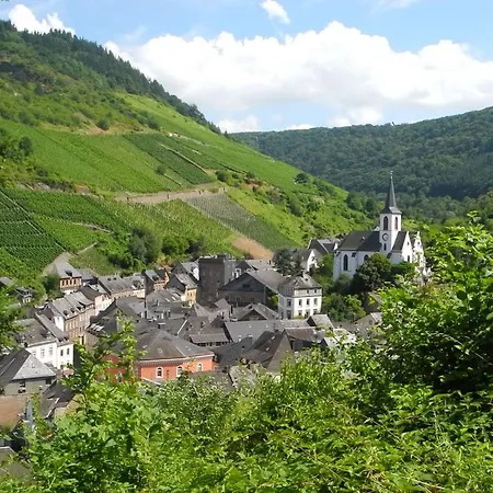 Altes Winzerhaus Ferienhaus *