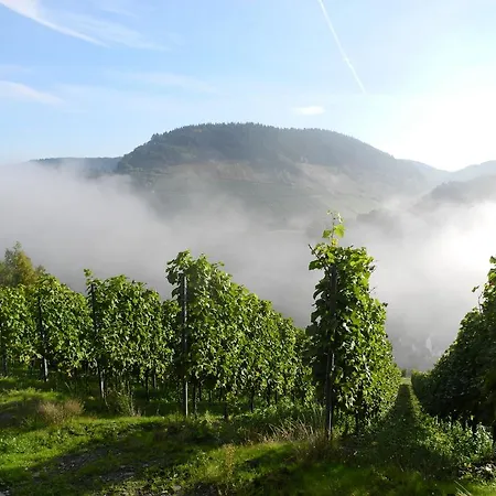 Altes Winzerhaus * Morbach